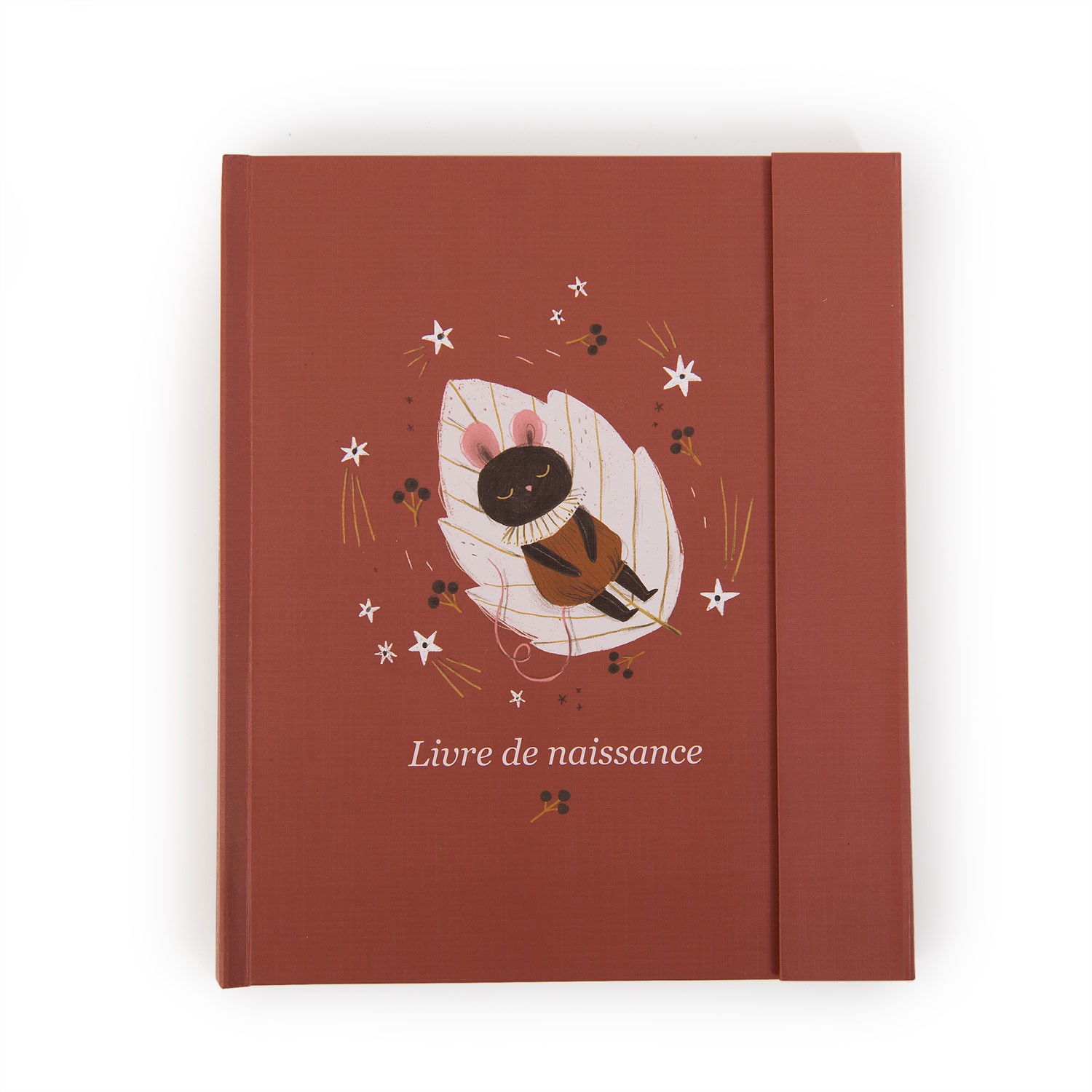 LIVRE DE NAISSANCE  « APRÈS LA PLUIE »