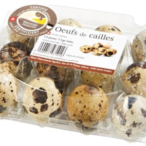 Œuf CH de Caille 12x