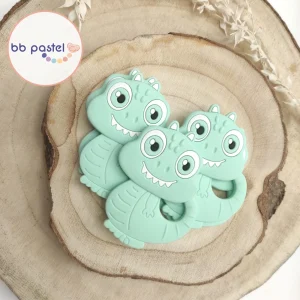 Dinosaure de dentition