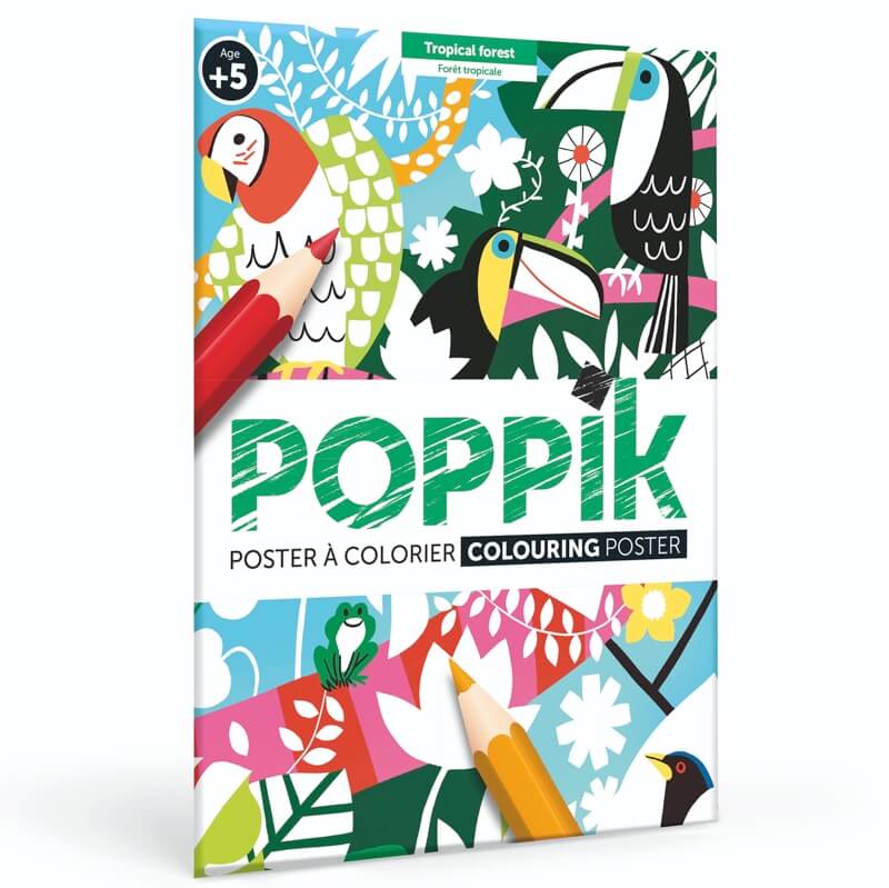 Poster à colorier Forêt tropicale (dès 5 ans)