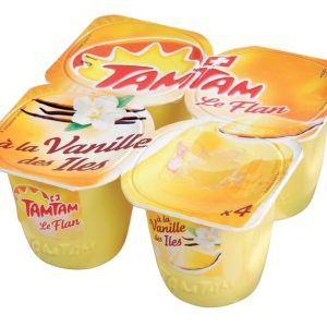 Flan Tam Tam Vanille 100g 4 X